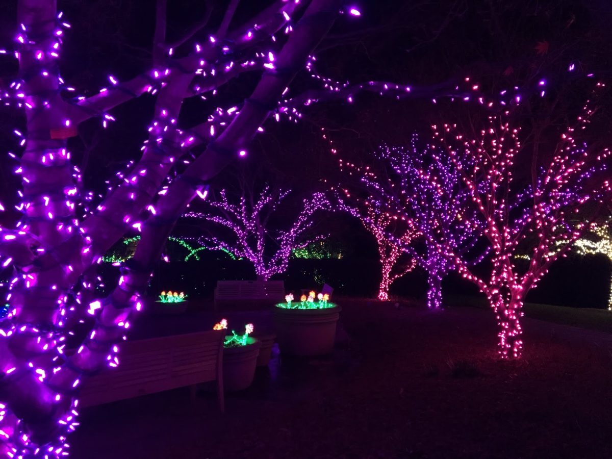 Garden Of Lights At Brookside Gardens